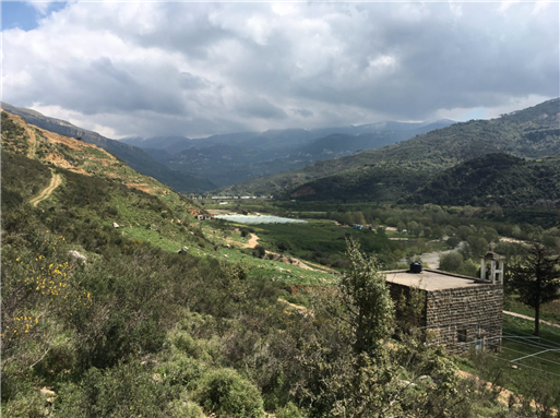 Lebanon’s Bisri Valley. Photo by Alison Tahmizian Meuse.